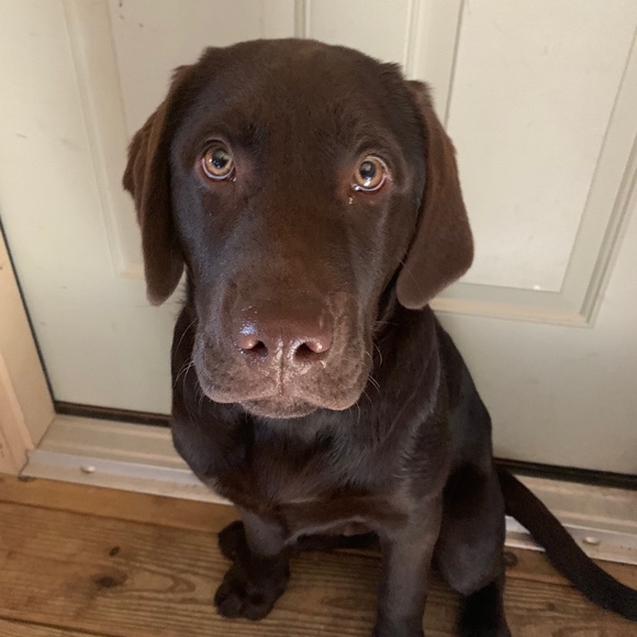 Dave Freese - Picture 15 of 16